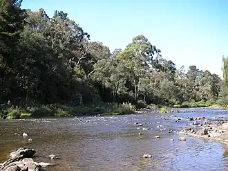 The Yarra River flowing through Warrandyte