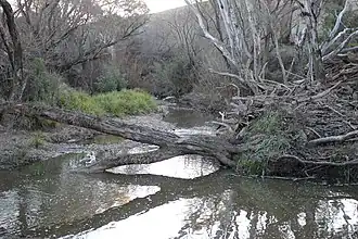 Yass River in Yass Valley