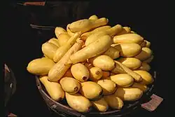 Squash
