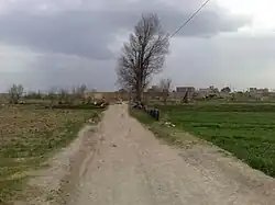 The village of Yengejeh-ye Molla Mohammad Reza