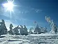 Summit of Yokote-yama - 2,305&nbsp;m (7,562&nbsp;ft) above sea level - Shiga-kōgen, 2009