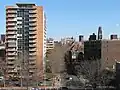 York_Street,_New_Haven