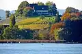 lake shore vineyard of the museum