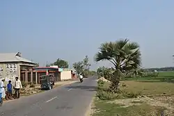 A road in Madan Upazila