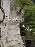 Monastery goat-breeding