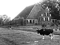 Farm in Ypecolsga