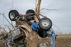 A blue car wrapped around a splintered tree.