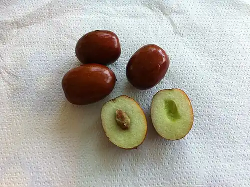 Fruit cross-section