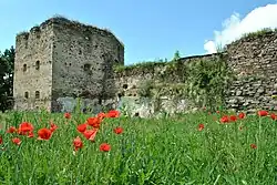 Remains of the 16th⁠–17th century Zolotyi Potik Castle