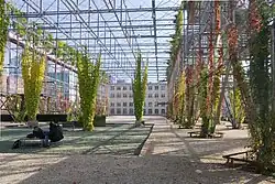 MFO-Park