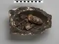 Container for a mummified duck, from tomb QV46. 1493 - 1482 BC (New Kingdom). Museo Egizio, Turin (S.5083)