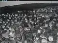 Aerial view by Walter Mittelholzer (1933)