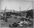 Korean casualties, after the attack on Fort Sondolmok (Fort McKee)