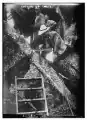An army engineer uses an oxyacetylene torch to cut up the wreck