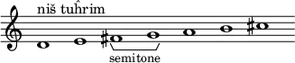 \new Staff \with { \consists Horizontal_bracket_engraver \remove "Time_signature_engraver" \remove "Bar_engraver" }
\relative c' {
d1^"niš tuĥrim" e fis -\tweak HorizontalBracketText.text "semitone"\startGroup g\stopGroup a b cis }