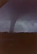 Photos of Bucca F4 tornado