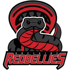 Adelaide Redbellies lacrosse team logo
