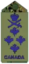 CADPAT uniform