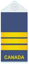 Uniform shirts (old insignia)