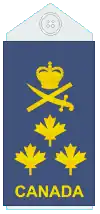Uniform shirts (old insignia)