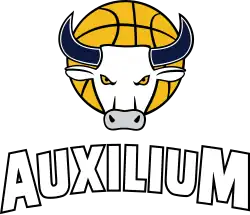 Auxilium Torino logo