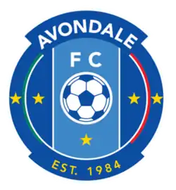 A blue circular badge depicting a soccer ball flanked by five stars.