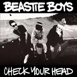 Black-and-white overhead shot of the Beastie Boys sitting alongside a road curb. The artist name and album title are written in white against black borders.