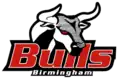 Birmingham Bulls logo