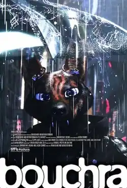 A female canid is shown holding a transparent umbrella under rainy weather, in front of a fuzzy nighttime cityscape. The film title, rendered as "bouchra" in a round font, is at the bottom of the poster. Credits for the film are shown above it, along with a "Platform Prize" nomination logo from the Toronto International Film Festival.