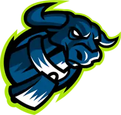 Budapest Cowbells logo