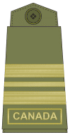 Olive green uniform (old insignia)