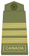 Olive green uniforms (old insignia)