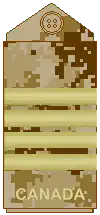 Arid-region CADPAT uniform (old insignia)