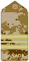 Arid-region CADPAT uniform (old insignia)