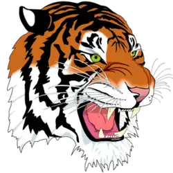 A tiger's head