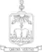 Antonios I Naguib أنطونيوس نجيب's coat of arms