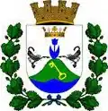 Coat of arms of Cerro