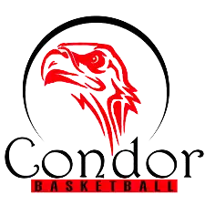Condor logo