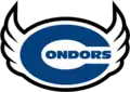 Condors CDMX logo