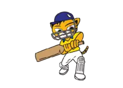 Tournament logo