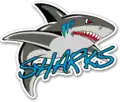 Dayton Sharks logo