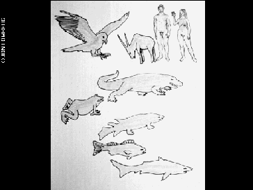"Diagram of vertebrate evolution", by Jon Lomberg
