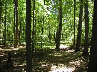 Hiking trail