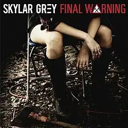 A woman in a plaid shirt sitting on a chair in the woods with an ax at her feet. The words "Skylar Grey Final Warning" are situated at the top of the cover.