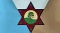 Flag of Joaquín V. González