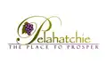 Flag of Pelahatchie