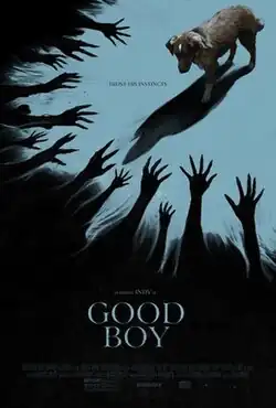 Film poster showing a Nova Scotia Duck Tolling Retriever standing in a beam of light above a dark mass of reaching shadowy hands. The text reads 'Trust His Instincts' and the title 'Good Boy'.