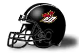 Las Rozas Black Demons helmet