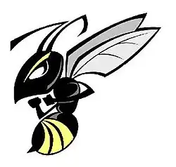 Hull Hornets logo