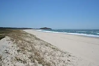 Main Beach, Iluka